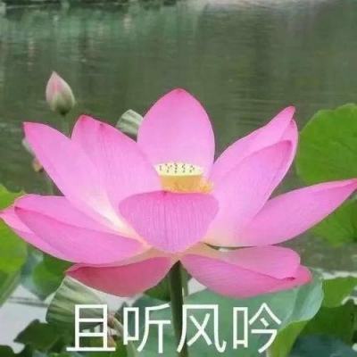 145岁上海交响乐团发布新乐季：大咖云集，群星璀璨